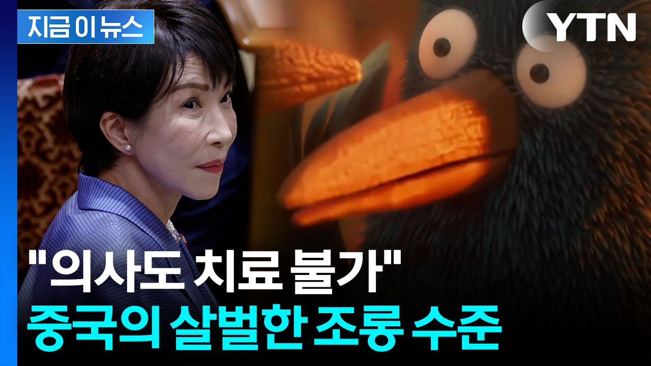 "말썽꾼 아줌마"...다카이치 조롱한 중국 애니메이션 화제 [지금이뉴스] / YTN