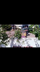 Part 1 - A Deadly Heist Turns Into a Game of Betrayal | Among Thieves | Full Movie