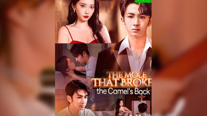 The Mole That Breaks The Camel’s Back – FULL HD MOVIE [Eng Sub]