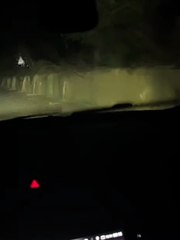 Nubifragio a Crotone: strade allagate, auto bloccate dall'acqua e crolli