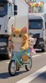 Cute Cats Riding a Bike! 🚴🐱💗
