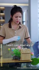 Paws Speak Louder Than Words (2025) – FULL HD [Eng Sub]