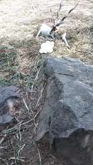 Do you think the same way?