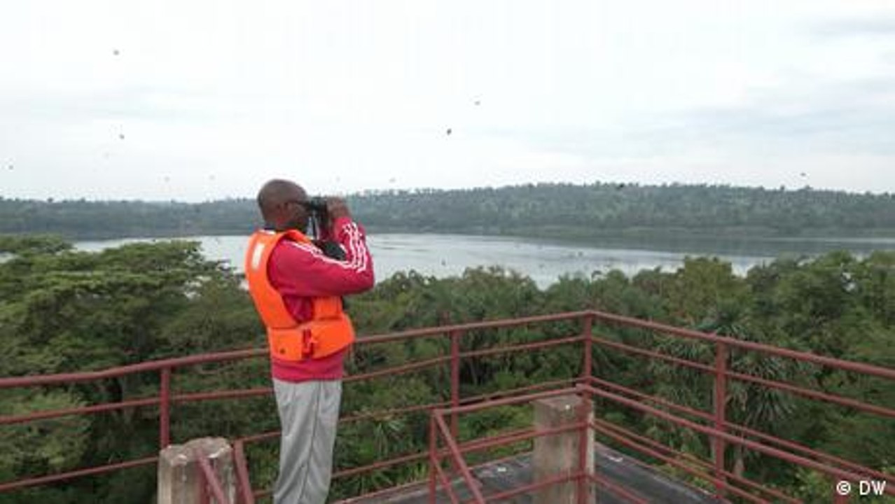 Community efforts to protect Burundi's birdlife