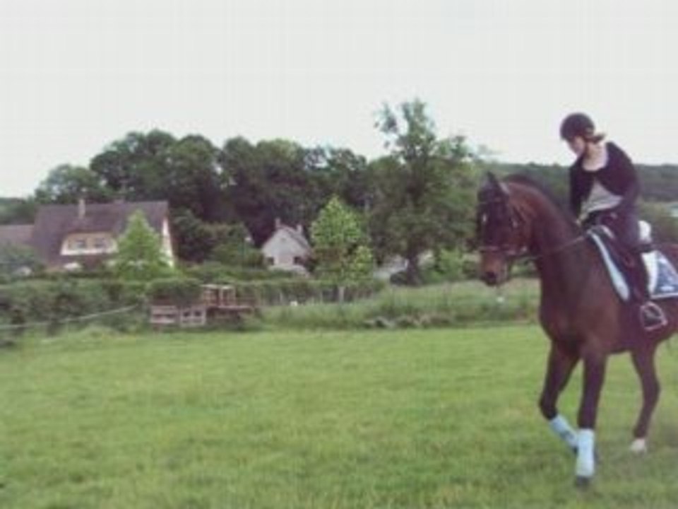 Deauvdet_0001