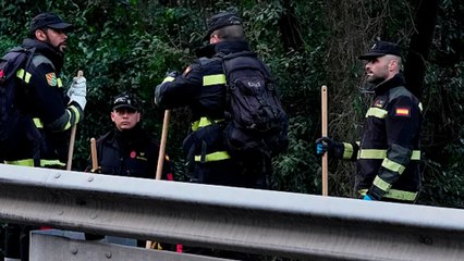 La peste porcina, sobre el terreno: se extiende el radio de acción y llegan los primeros despidos