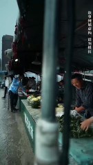 From Shadows, He Commands #dailyshorts