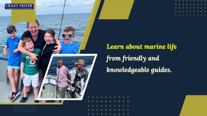 Discover Coastal Beauty Through Exclusive Lighthouse and Dolphin Cruise Adventures