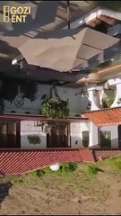 Obey Me, Mr. President's Son & Detailed Version - Full Movie