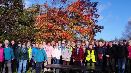 Steps2Health walking group November roundup