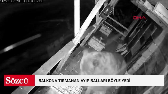 İki gün üst üste balkona tırmanan ayı kovanları parçalayıp, balları yedi; o anlar kamerada