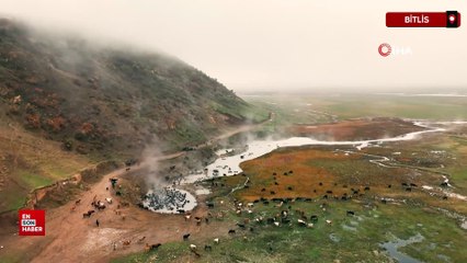 Bitlis'te mandaların kaplıca keyfi dronla görüntülendi