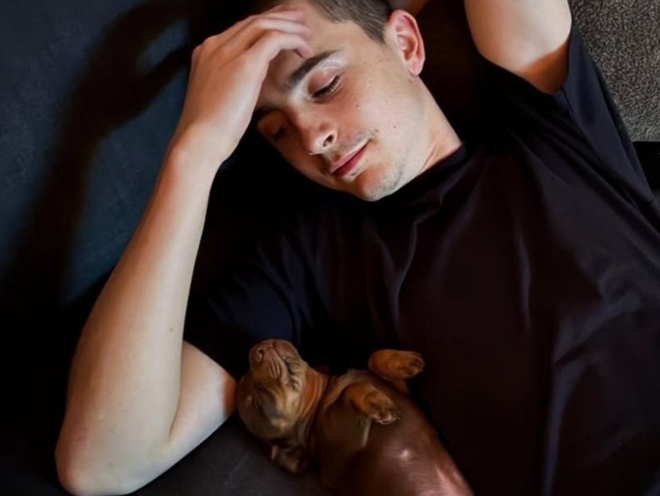 Goldig! Timothée Chalamet kuschelt mit süßem Welpen