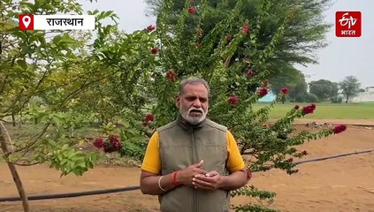 वाइल्डलाइफ कंजर्वेशन डे: जयपुर में बढ़ा लेपर्ड मूवमेंट, विशेषज्ञ बोले-जंगलों में इंसानी दखल पर लगे रोक