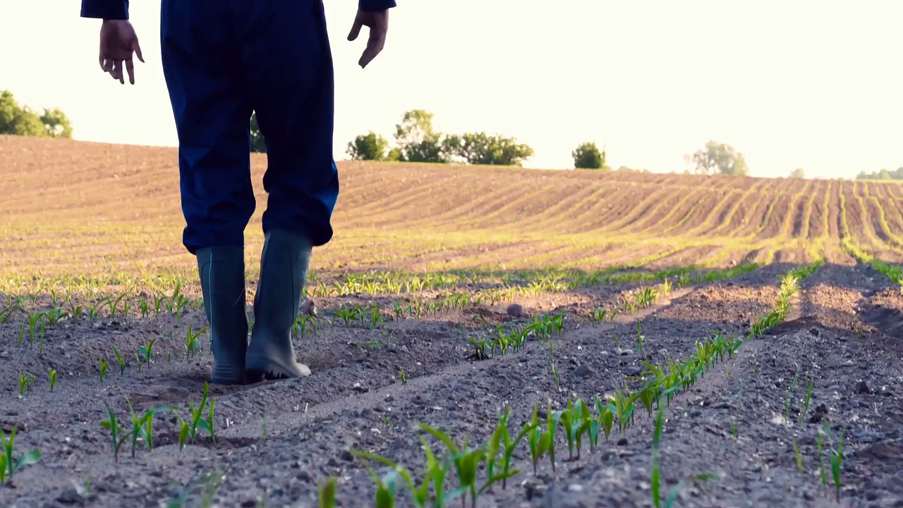 DISOCCUPAZIONE AGRICOLA: Cassa Integrazione vale come giorni di LAVORO!