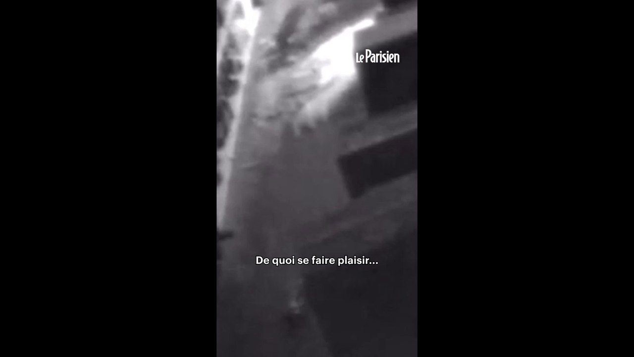 Un raton laveur retrouvé ivre dans un magasin d’alcool
