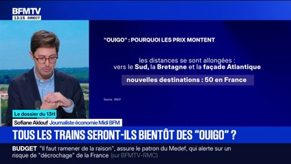 Le dossier de 13H : Tous les trains seront-ils bientôt des Ouigo ?