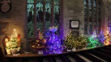 Tavistock Christmas Tree Festival video