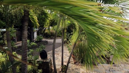 Las nuevas imágenes de la isla privada del pederasta Jeffrey Epstein