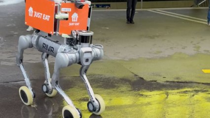 Robot on a food delivery mission gives a real glimpse of the future