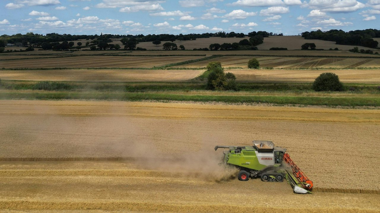EU will Gentechnik-Regeln lockern