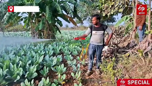 इंजीनियर की नौकरी छोड़ बन गए किसान, चतरा के उदय यूट्यूब से खेती सीख कर रहे मोटी कमाई