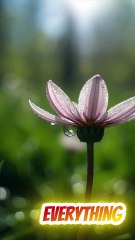 “Stop Carrying What Was Never Yours”