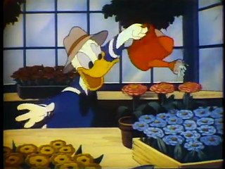 Donald’s Bee Pictures (1937) 🐝 - Rare Laserdisc 1st Pressing