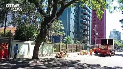 Após queda de árvore, Rua Mato Grosso é desobstruída e liberada para veículos