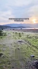 Sapanca Gölü kuruyor! Tekneler karada kaldı: Halk kuraklık krizi ile karşı karşıya