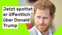 Prinz Harry: Neutralität verloren - jetzt spottet er öffentlich über Donald Trump