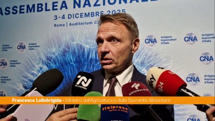 Lollobrigida "Governo al fianco delle imprese con politiche di rilancio"