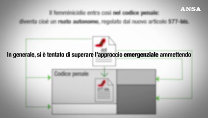 Ansa EXPLAINER - Cosa prevede la nuova normativa sul femminicidio