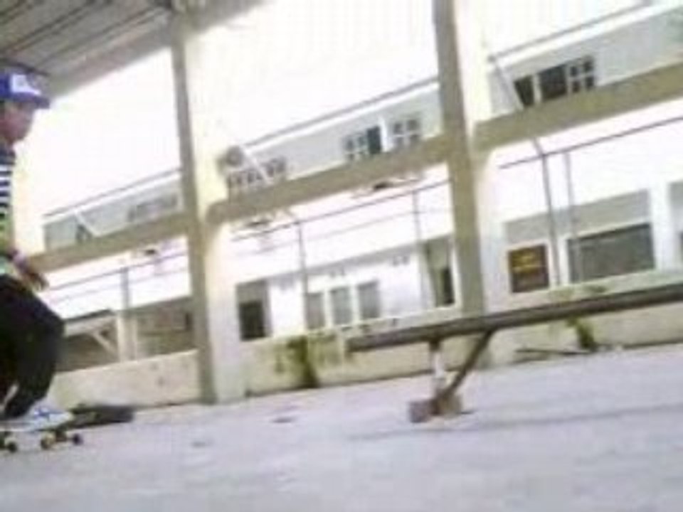 Birdflu3