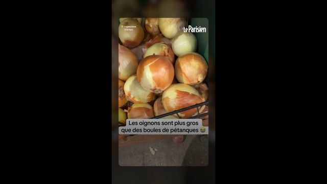 Le scandale de la soupe préférée des Américains