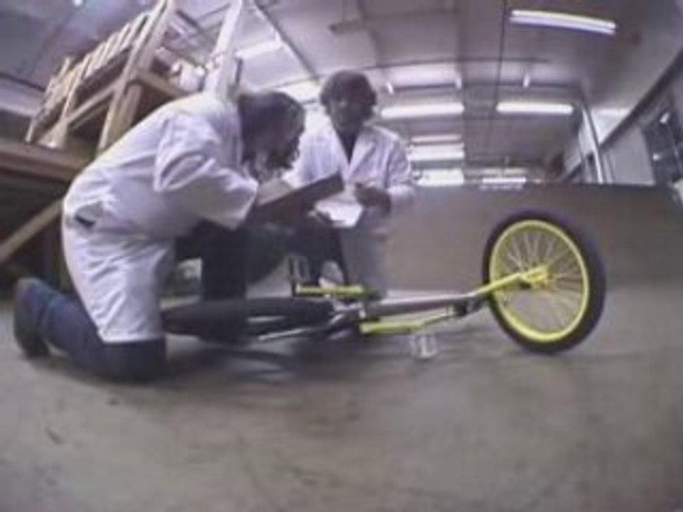 Tree bikes (we-love-bmx.sky)