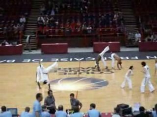 capoéra a paris bercy