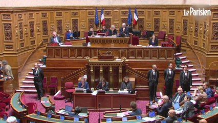 Le Sénat adopte la partie « recettes » du budget de l'Etat