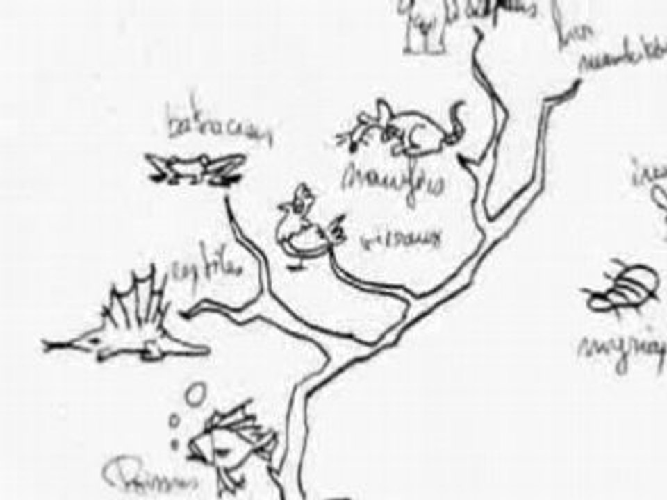 Arthur de Pins / La Révolution des Crabes