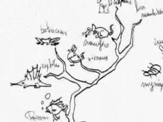 Arthur de Pins / La Révolution des Crabes