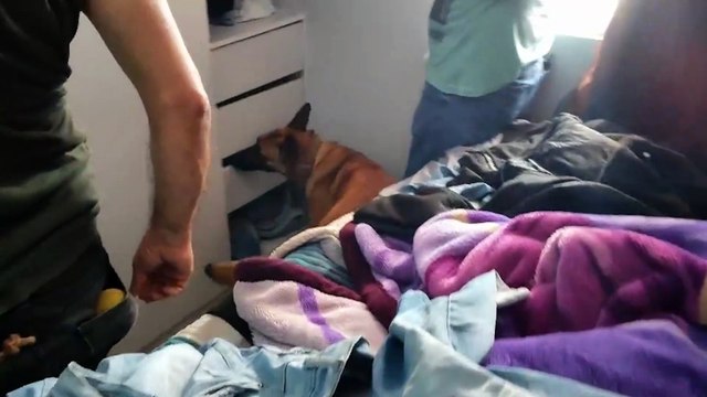 Polícia Civil apreende drogas e prende suspeito por tráfico no bairro Santa Cruz, em Cascavel