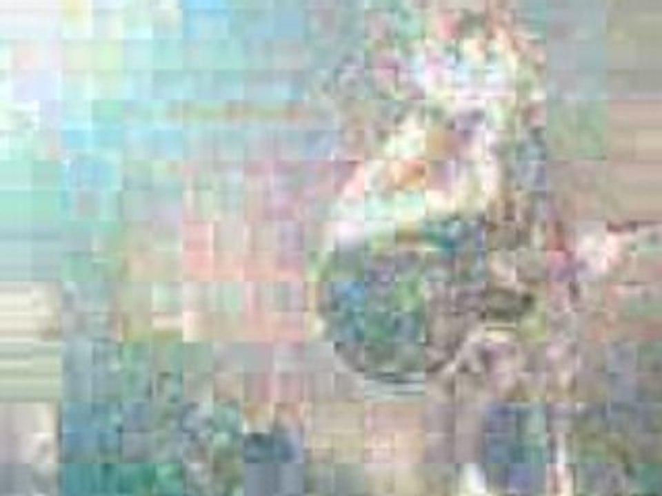 Concert BB Brunes 24 Mai Limoges avec Neko.