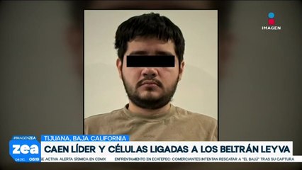 Detienen a Gustavo “N”, líder de célula ligada a los Beltrán Leyva