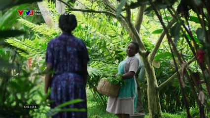 Tình Yêu Của Ðời Tôi Tập 11 - VTV3 Thuyết Minh - Phim Colombia