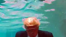 donald_trump_swimming_into_a_pool (1)