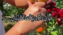 IslamicBeautifull Recition ofQuran pak || Beautifull telavaty Quran e pak