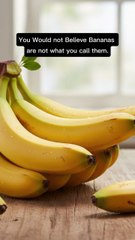 You Would Be Surprised After Hearing These Facts