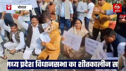 बंदर बनकर पहुंचे कांग्रेस विधायक, सरकार के जवाब से नाराज होकर विधानसभा से वॉकआउट