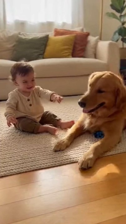 The child is happily playing with the little dog! 😄🐶 Moments full of fun and laughter! ❤️ #dog #baby #puppy #ai