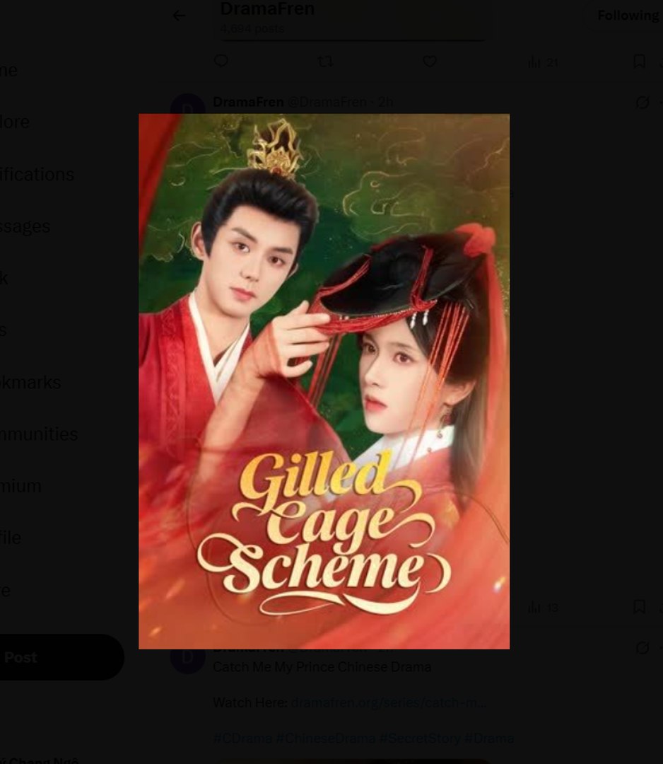 ⁣Gilded Cage Scheme Chinese Drama - English Sub